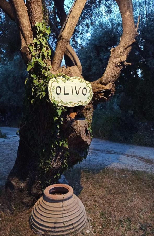 Olivo Nydri Lejlighed Eksteriør billede