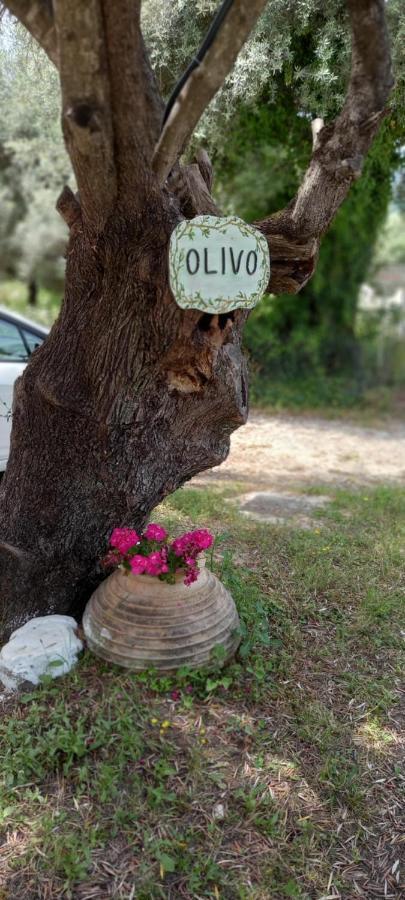 Olivo Nydri Lejlighed Eksteriør billede
